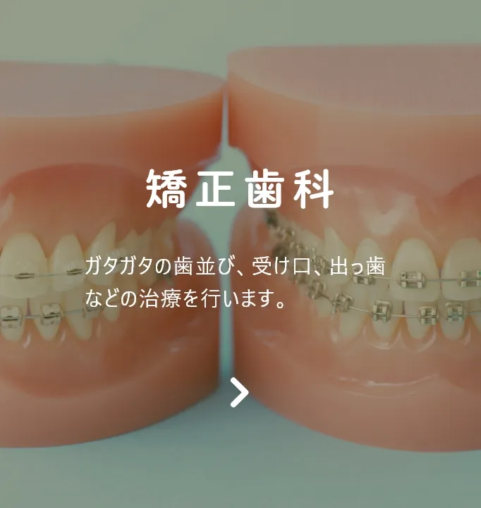 矯正歯科